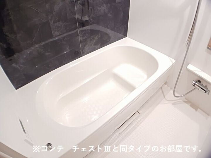 滋賀県栗東市手原1(アパート)の賃貸物件の風呂