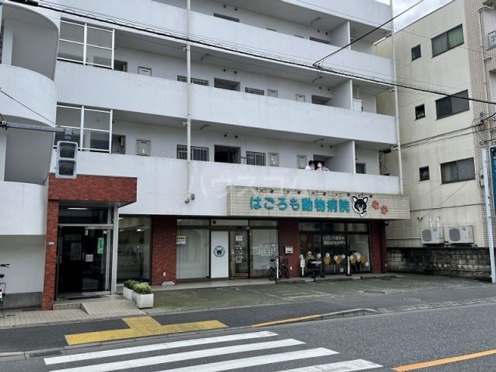 ボブハウスの周辺