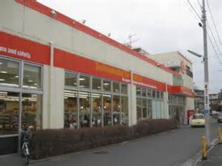 ヤングバッズの周辺