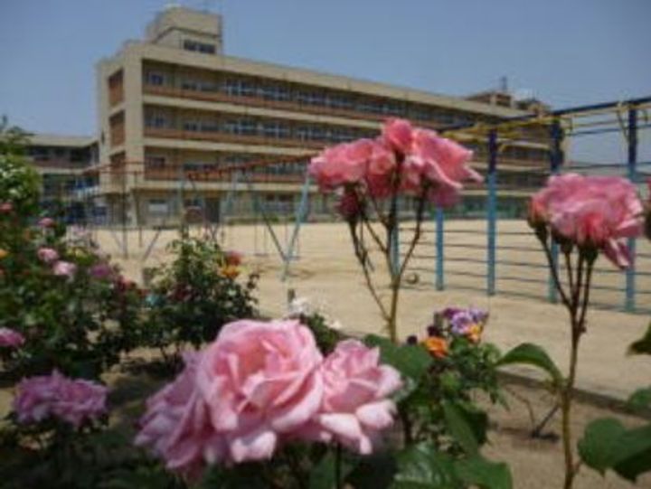 カサルビアの周辺