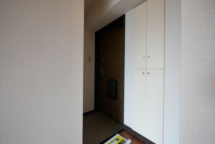 カーサアリエッタ大橋の玄関