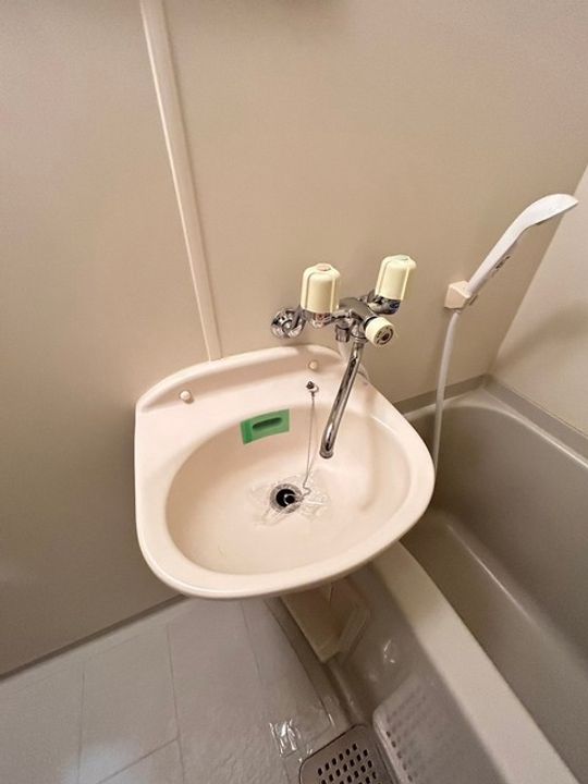 広島県広島市安佐南区伴東5(マンション)の賃貸物件の内装