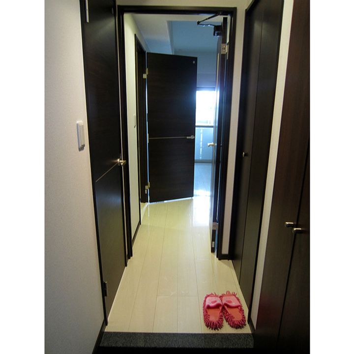 ライズ保田窪の玄関