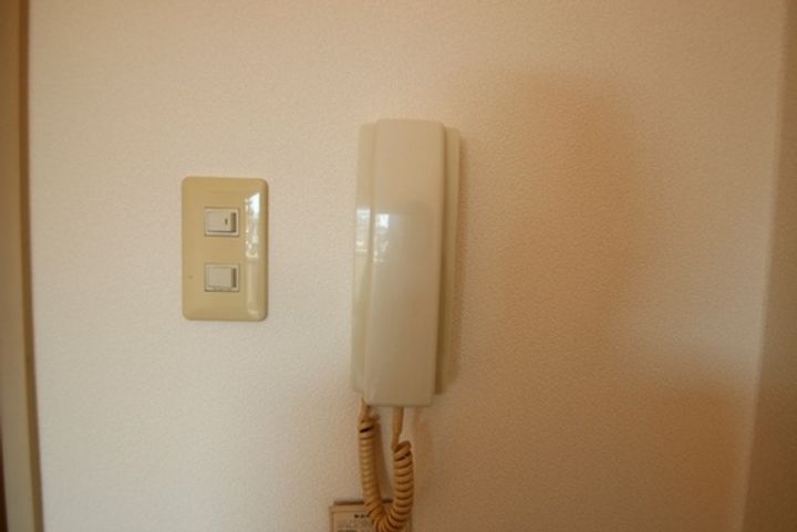 広島県広島市安佐南区伴中央5(マンション)の賃貸物件の内装