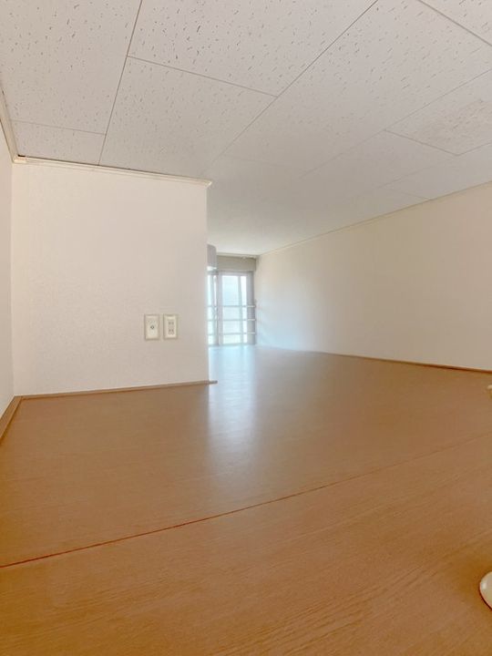 エレファントひらののその他画像