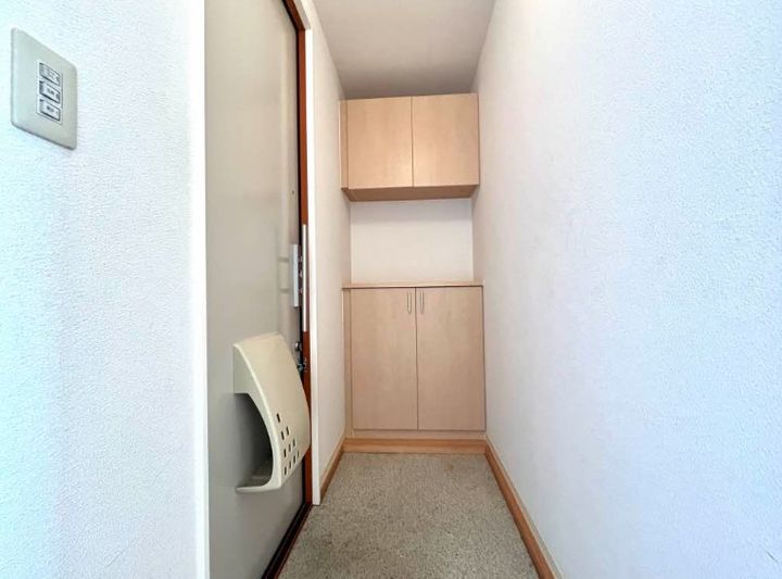 ファインメゾン上の原IIIの玄関