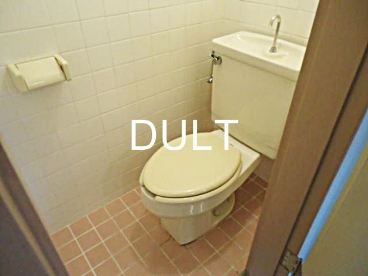 東京都豊島区巣鴨2(マンション)の賃貸物件の内装