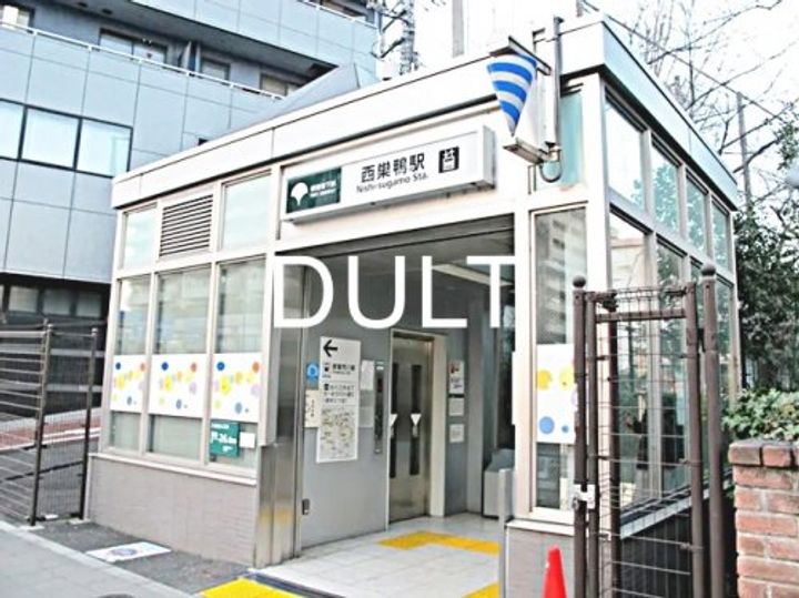 東京都豊島区巣鴨2(マンション)の賃貸物件の周辺