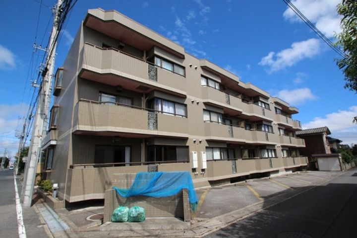 ピアステージ勝田の外観