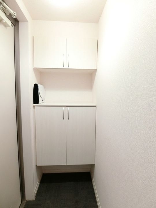 神奈川県藤沢市菖蒲沢(アパート)の賃貸物件の玄関