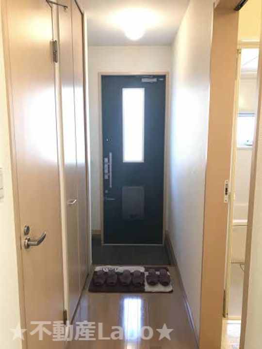 徳島県徳島市川内町加賀須野(アパート)の賃貸物件の玄関