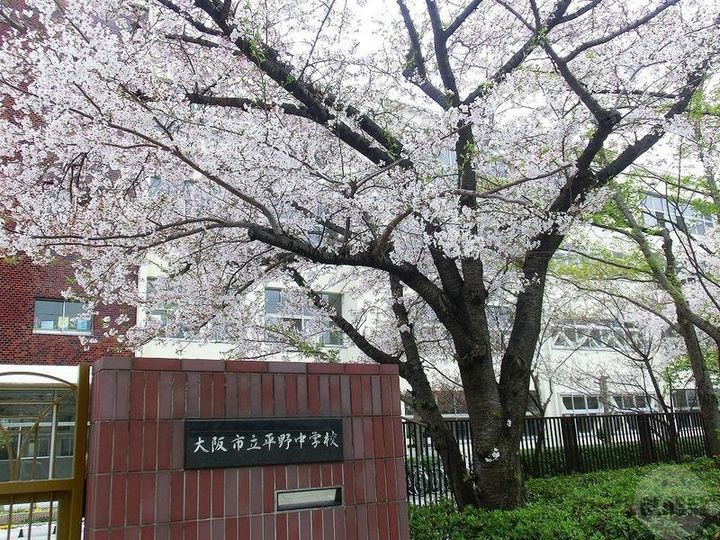 ローズハイツの周辺