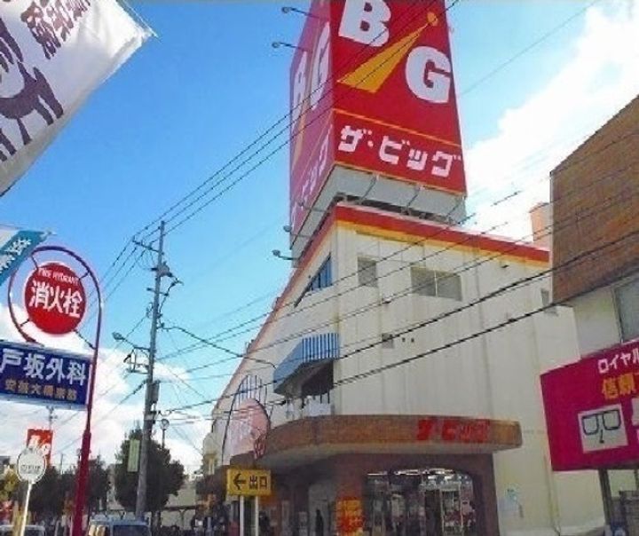 アリエッタの周辺