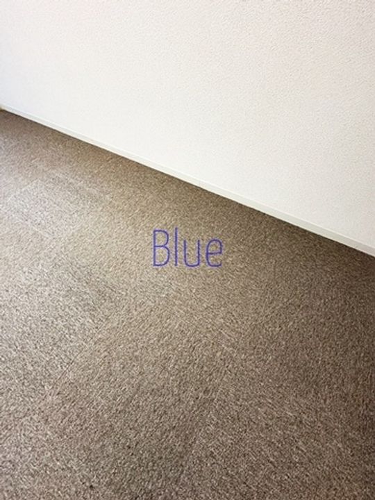 鎌倉グリーンマンションの居間