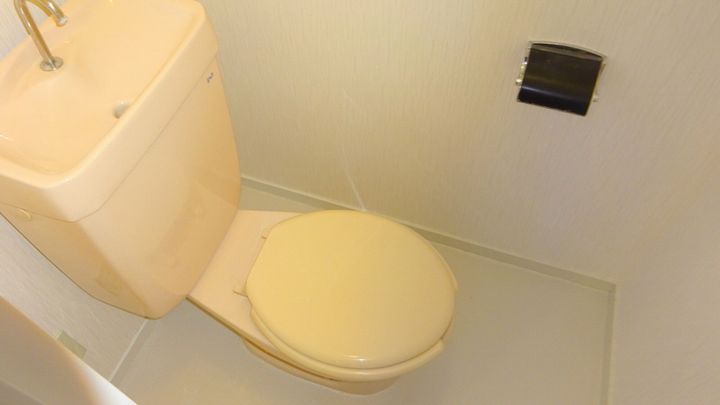 大阪府豊中市熊野町4の賃貸マンションの内装