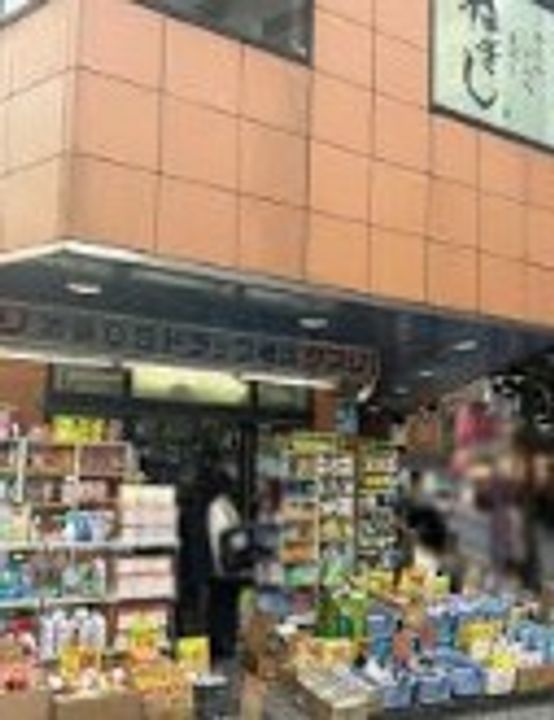 神奈川県横浜市西区岡野1(マンション)の賃貸物件の周辺