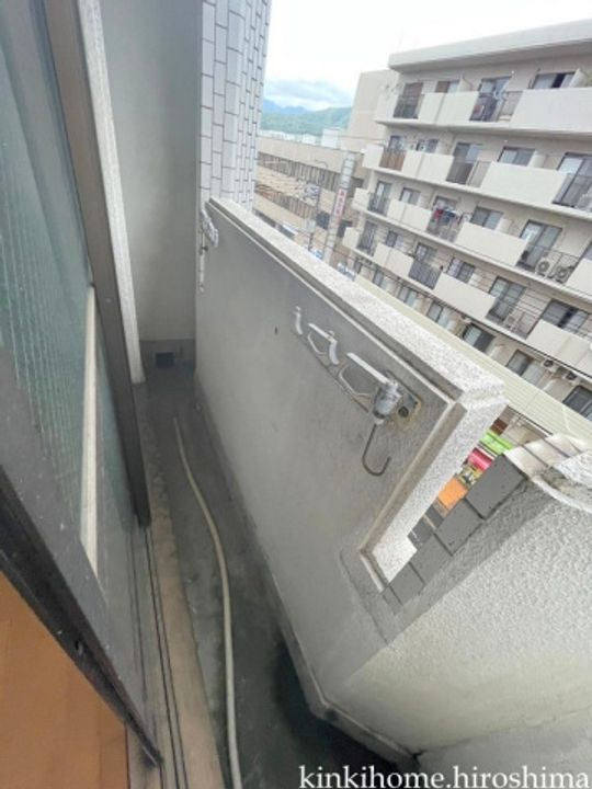 広島県広島市佐伯区楽々園4(マンション)の賃貸物件の内装