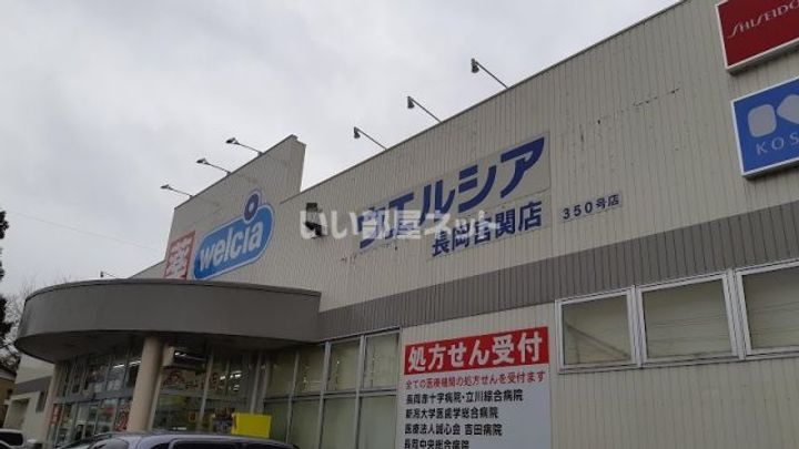 新潟県長岡市堤町(アパート)の賃貸物件の周辺