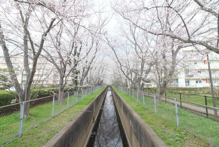 UR取手井野の地図