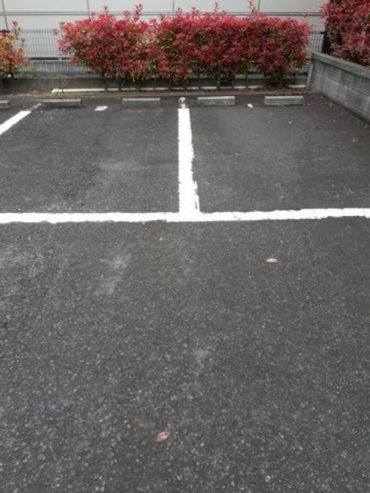 ニューエルディム大樹 Aの地図