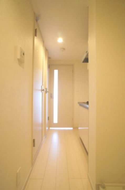 埼玉県さいたま市中央区下落合5(マンション)の賃貸物件の玄関