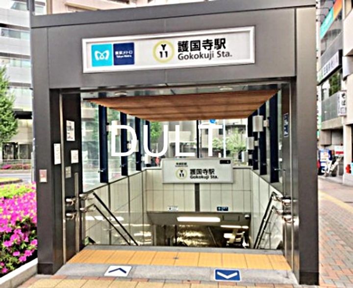 東京都豊島区南池袋1(マンション)の賃貸物件の周辺