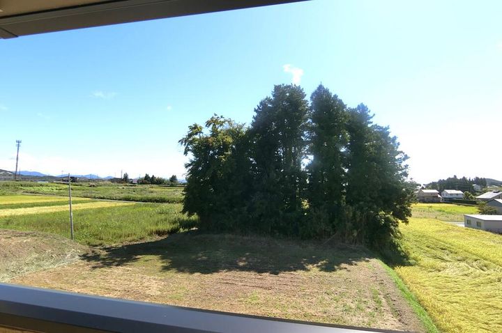 ナイス ハッシーIIのその他画像