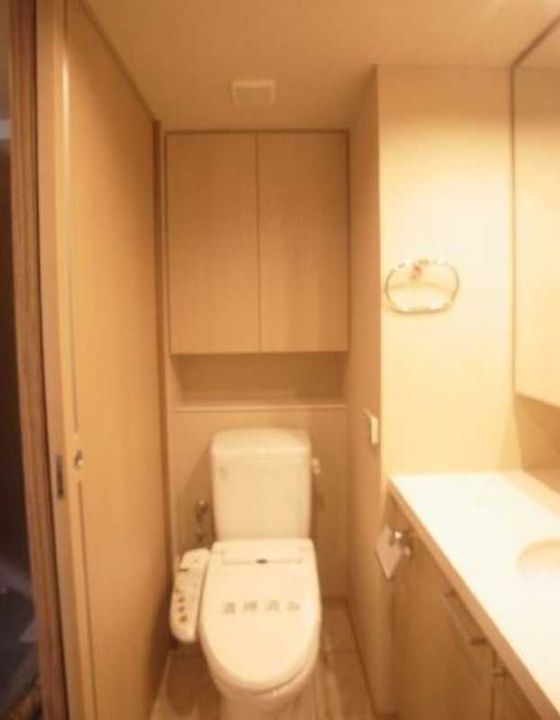 東京都中央区銀座3(マンション)の賃貸物件の内装