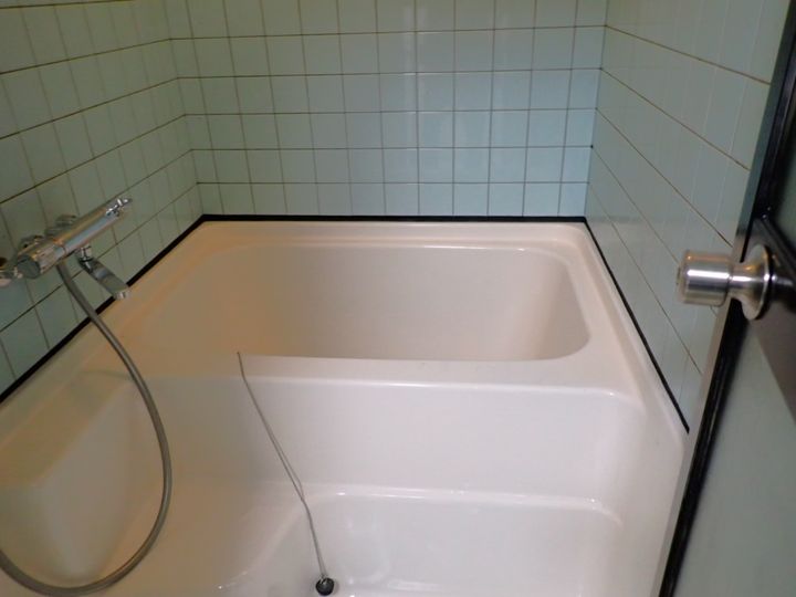 メゾン東邦V 202の風呂