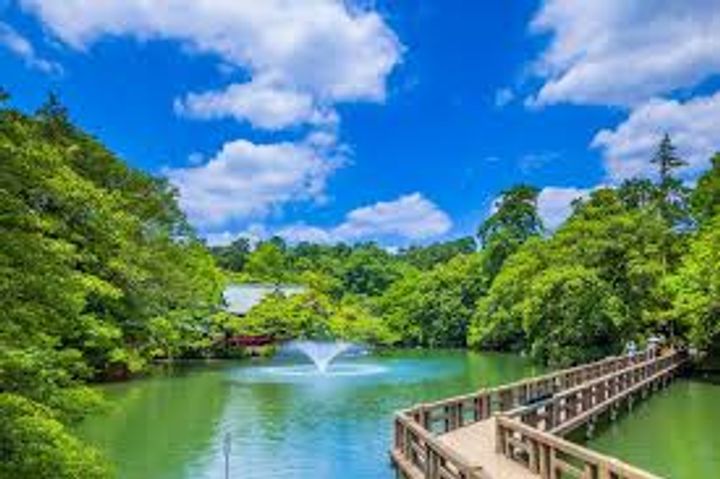 Viale吉祥寺の周辺