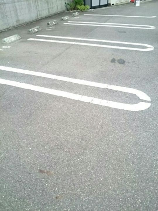 ネオ・サルビアIIIのその他画像