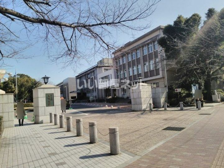 modern palazzo 文教Primaの周辺