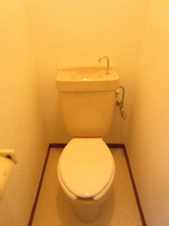 神奈川県川崎市多摩区登戸新町(マンション)の賃貸物件の内装