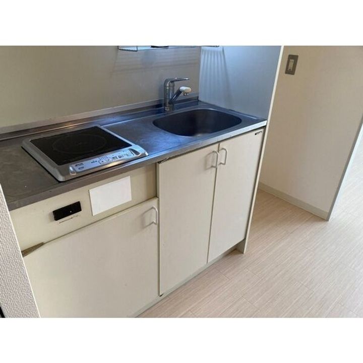 大阪府泉大津市池浦町1(マンション)の賃貸物件のキッチン