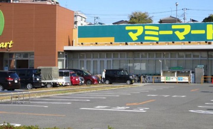 ニュー氷川ハイツの周辺