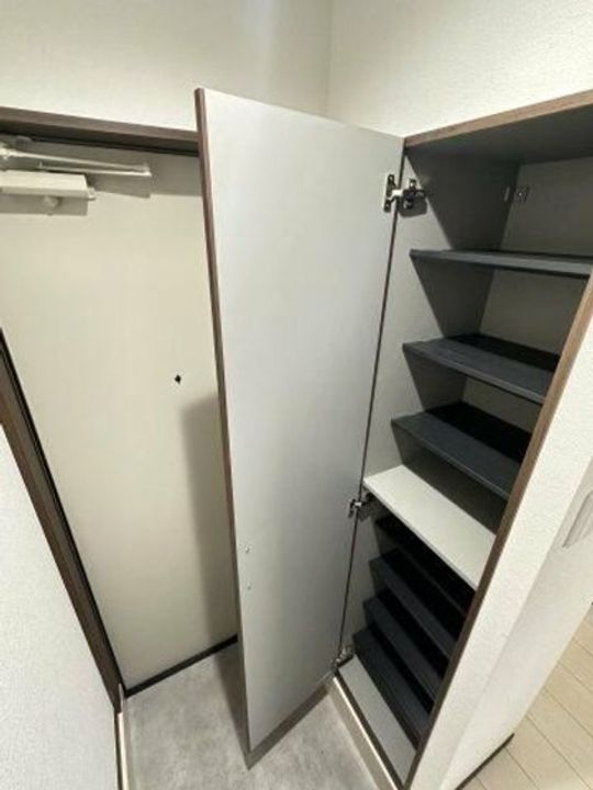 ベイルームプレミア橋本の玄関