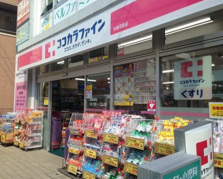 東京都大田区山王4(一戸建)の賃貸物件の周辺