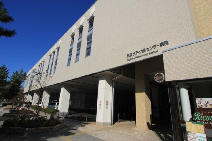 ハイパー桜の周辺