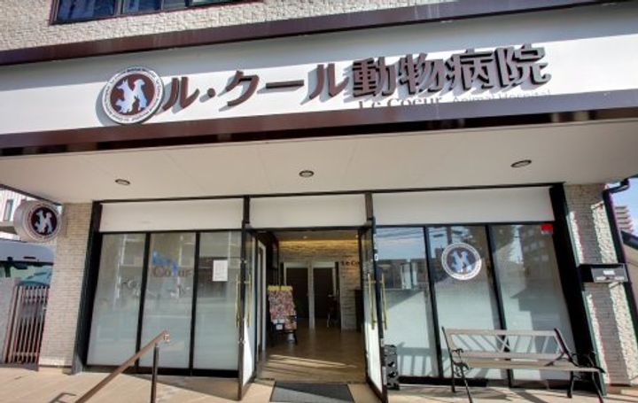 スプランディッド5の周辺