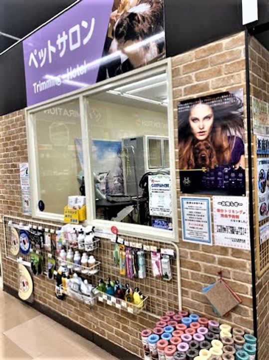 ラヴィエール清澄ガーデンテラスの周辺
