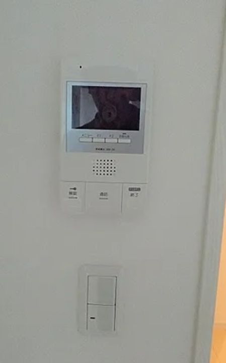 東京都練馬区北町3(マンション)の賃貸物件の内装