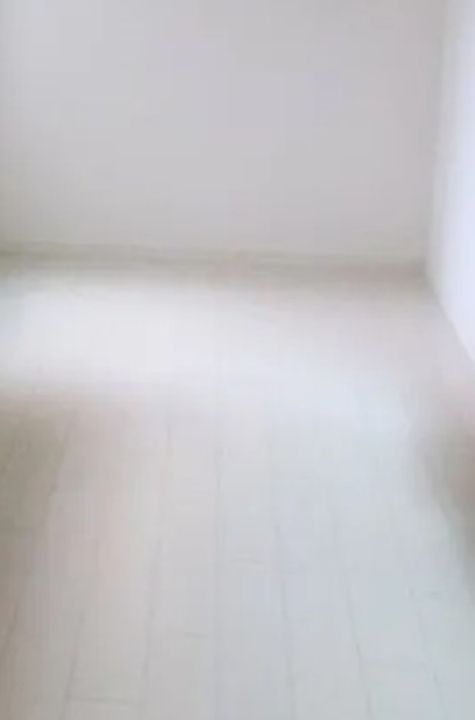 東京都練馬区北町3(マンション)の賃貸物件の内装