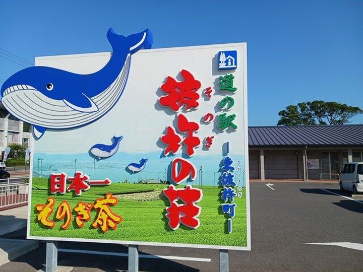 エレガンシアの周辺