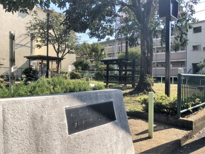 東京都杉並区阿佐谷南3(一戸建)の賃貸物件の周辺