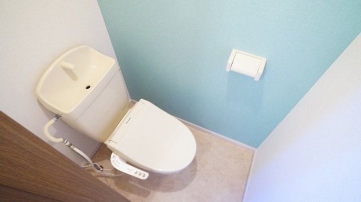 埼玉県児玉郡上里町大字嘉美(アパート)の賃貸物件の内装