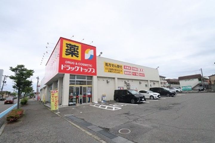 新潟県新潟市西区平島(アパート)の賃貸物件の周辺