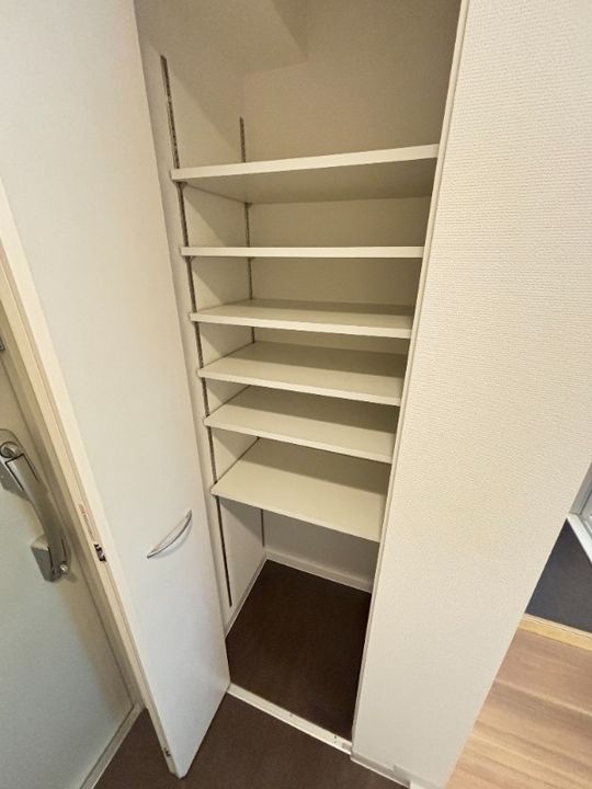 大阪府東大阪市長田3(マンション)の賃貸物件の内装