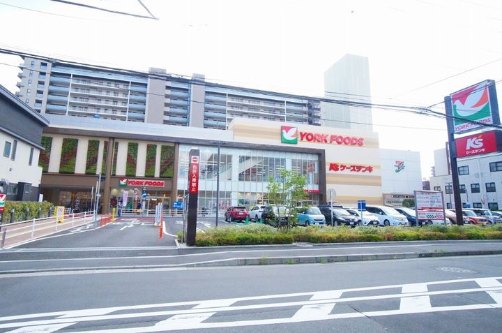 神奈川県厚木市田村町(マンション)の賃貸物件の周辺