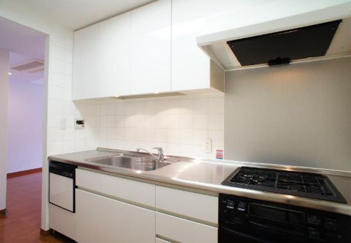 富士見デュープレックスリズのキッチン