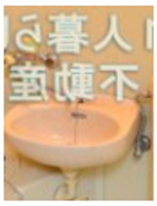 東京都大田区大森西3(マンション)の賃貸物件の内装